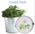 Mixed Herb Pail.jpg